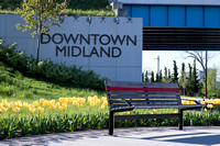 Downtown Midland Florals