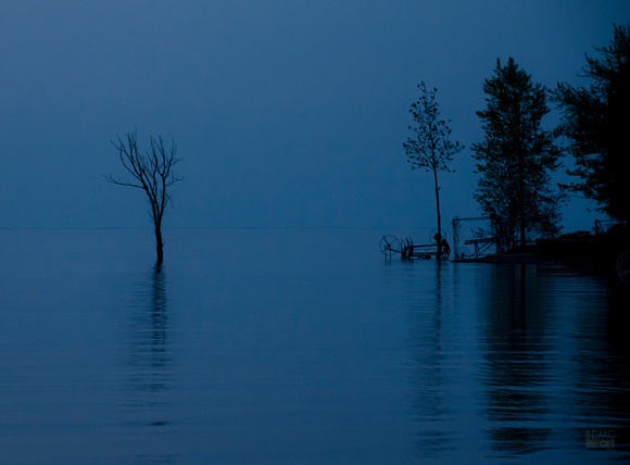 BlueCoast_Alone_BDMCart1