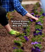 Midland Blooms May 20, 2023