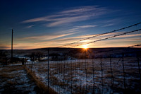 CandeeFarm2021_Feb4_08