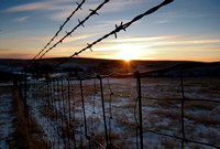 CandeeFarm2021_Feb4_06