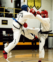 TaekwonDoMensSparringBDMCart1