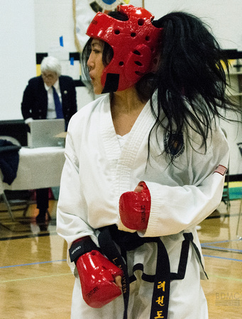 TaekwonDoWomensSparringBDMCart1