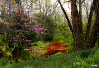 DowGardenRedBrdg3a