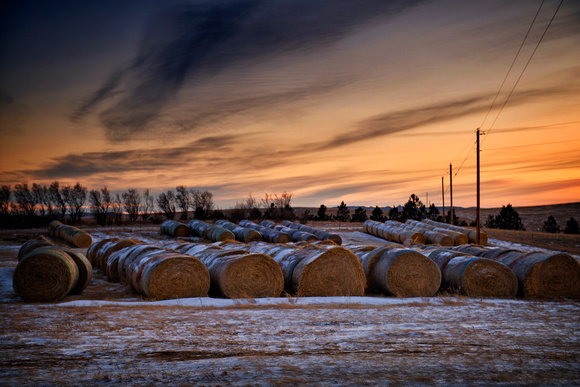 CandeeFarm2021_Feb4_19