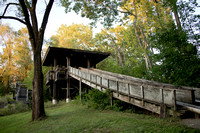 CityForest_Sept1_2021_BDMCart_12