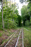 CityForest_Sept1_2021_BDMCart_14