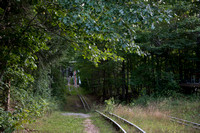 CityForest_Sept1_2021_BDMCart_10