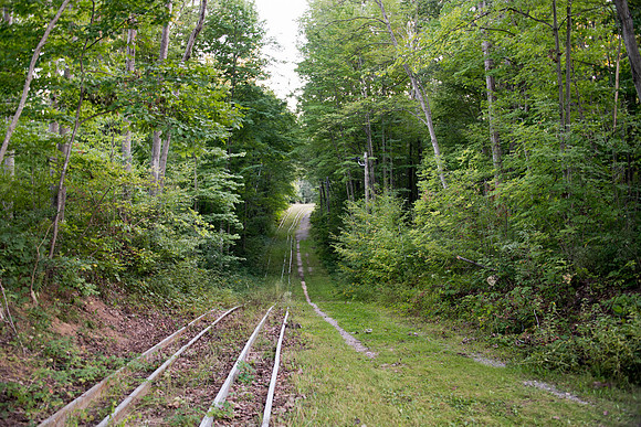 CityForest_Sept1_2021_BDMCart_15