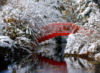 SnowRedBridgeDG_BDMCart1
