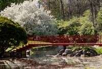 JapaneseBridgeBDMC1