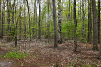 AdamsMay13_2025_1