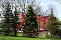 D85_3291