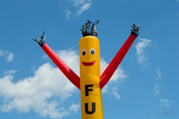 FunBDMC1