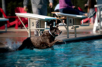 PoochesSept11_2021_BDMCart_9