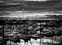 HomerAlaskaMarinaSept2020_BDMCart4BW