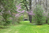 GardenMay13_2025_2