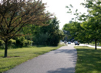 D85_5675