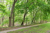 89 Strugeon Creek Park