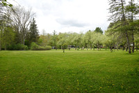 GardenMay13_2025_5