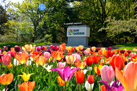 95 Dow Gardens
