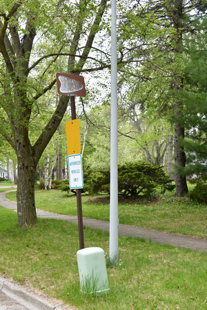 GardenMay13_2025_1